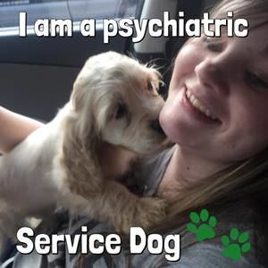 Meet your Posher, Gena